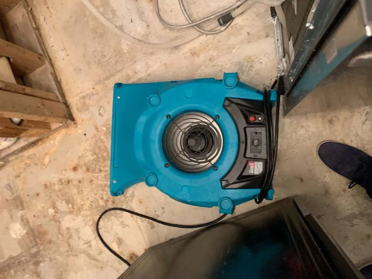 Air mover drying equipment for Mold Remediation & Removal in West Frankfort